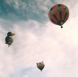 Pingu, Maunzerle und BSG-Ballon