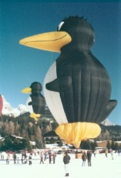 Pingu - Mania