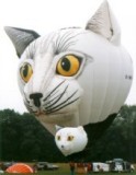 Treffen der Katzen