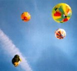 One almost cannot distinguish if they are 'real' or model